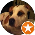 Dennis Germyn Avatar