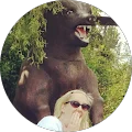 Susan Verdenik Avatar
