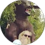 Susan Verdenik Avatar