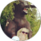 Susan Verdenik Avatar